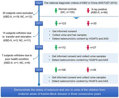 The Status of Selenium and Zinc in the Urine of Children From Endemic Areas of Kashin-Beck Disease Over Three Consecutive Years